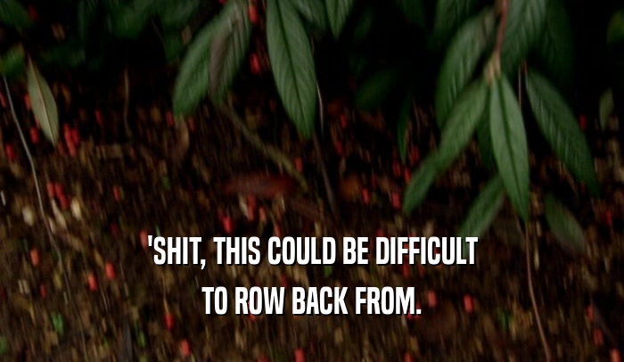 'SHIT, THIS COULD BE DIFFICULT TO ROW BACK FROM. 