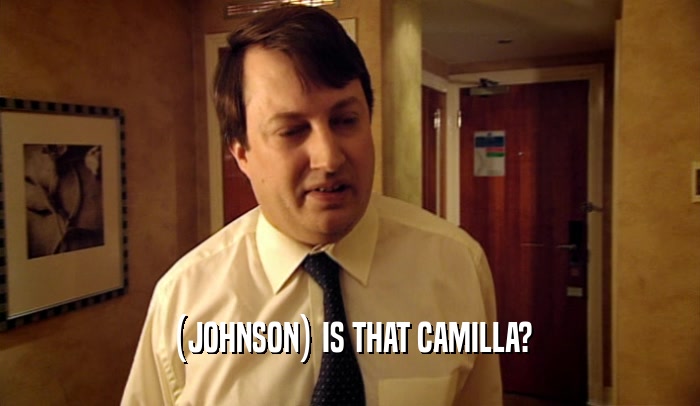 (JOHNSON) IS THAT CAMILLA?  