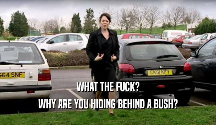 WHAT THE FUCK? WHY ARE YOU HIDING BEHIND A BUSH? 