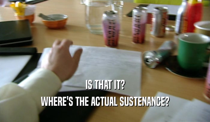 IS THAT IT? WHERE'S THE ACTUAL SUSTENANCE? 