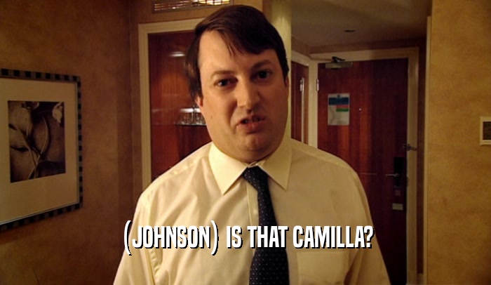 (JOHNSON) IS THAT CAMILLA?  