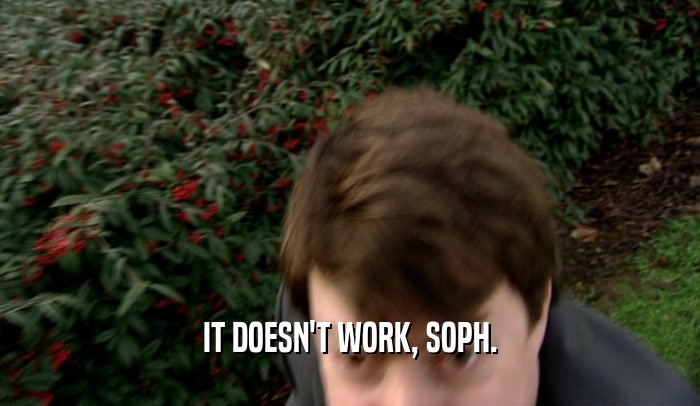 IT DOESN'T WORK, SOPH.  