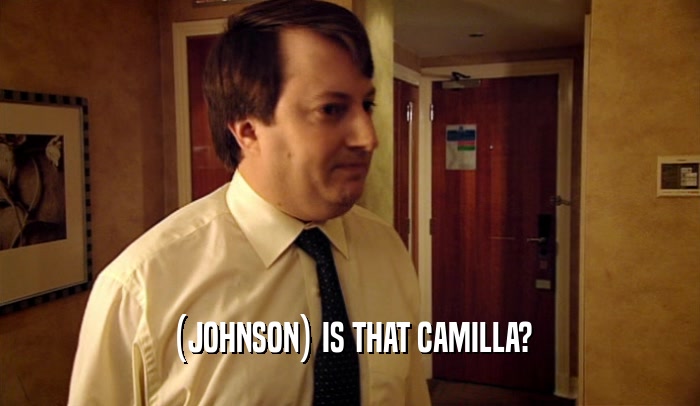 (JOHNSON) IS THAT CAMILLA?  