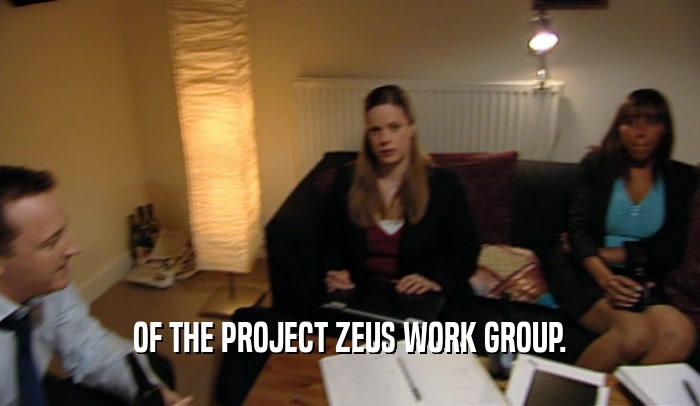 OF THE PROJECT ZEUS WORK GROUP.  