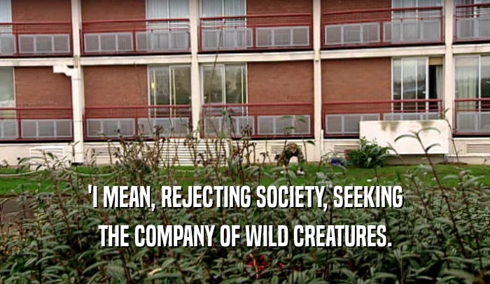 'I MEAN, REJECTING SOCIETY, SEEKING THE COMPANY OF WILD CREATURES. 