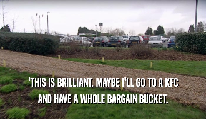 'THIS IS BRILLIANT. MAYBE I'LL GO TO A KFC AND HAVE A WHOLE BARGAIN BUCKET. 