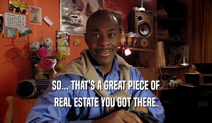 SO... THAT'S A GREAT PIECE OF REAL ESTATE YOU GOT THERE. 