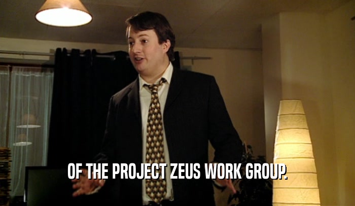 OF THE PROJECT ZEUS WORK GROUP.  