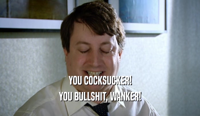 YOU COCKSUCKER! YOU BULLSHIT, WANKER! 
