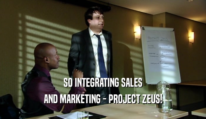 SO INTEGRATING SALES AND MARKETING - PROJECT ZEUS! 