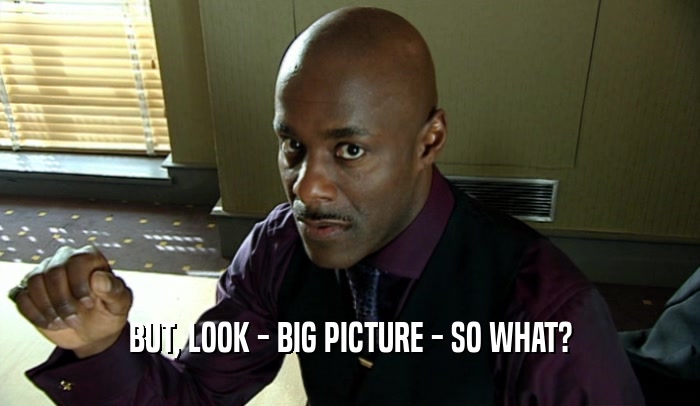 BUT, LOOK - BIG PICTURE - SO WHAT?  