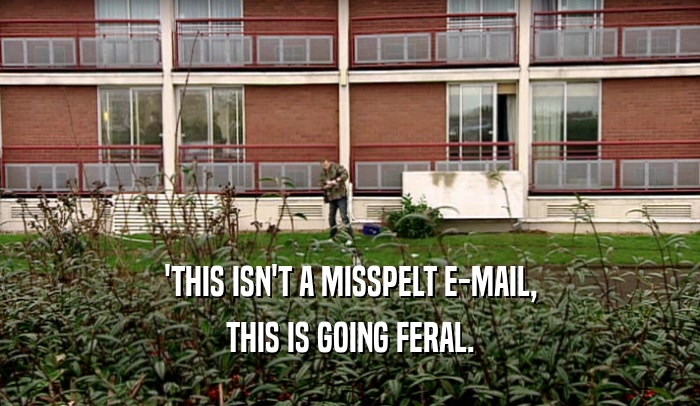 'THIS ISN'T A MISSPELT E-MAIL, THIS IS GOING FERAL. 