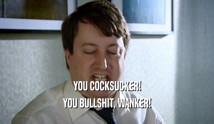 YOU COCKSUCKER! YOU BULLSHIT, WANKER! 