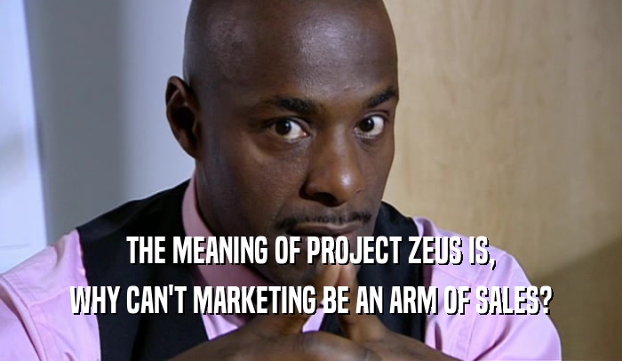 THE MEANING OF PROJECT ZEUS IS, WHY CAN'T MARKETING BE AN ARM OF SALES? 