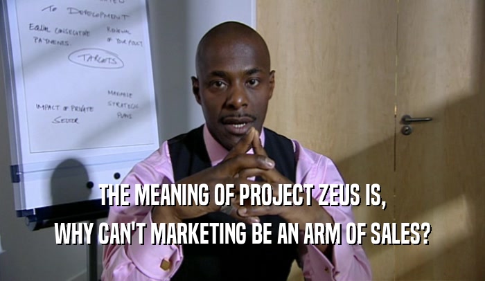 THE MEANING OF PROJECT ZEUS IS, WHY CAN'T MARKETING BE AN ARM OF SALES? 