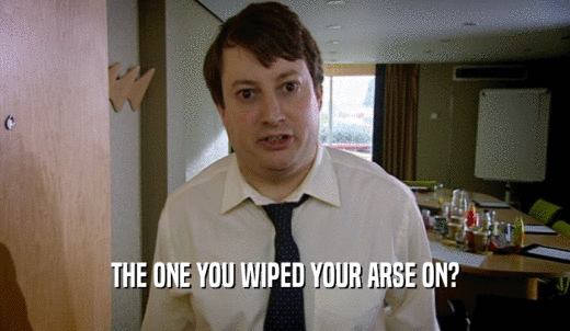 THE ONE YOU WIPED YOUR ARSE ON?  
