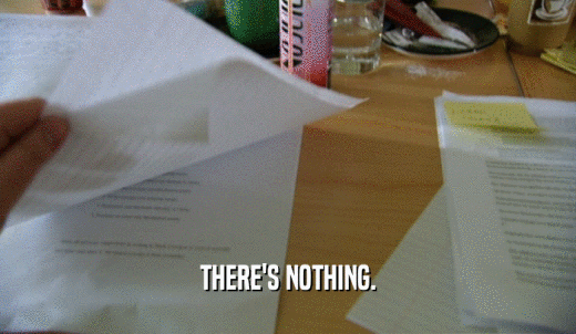 THERE'S NOTHING.  