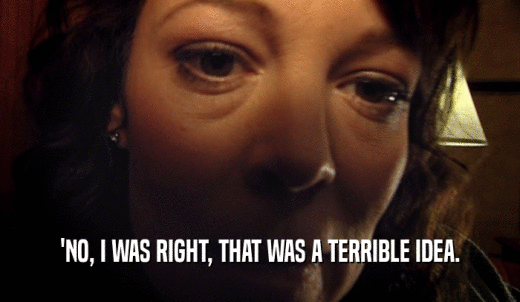'NO, I WAS RIGHT, THAT WAS A TERRIBLE IDEA.  