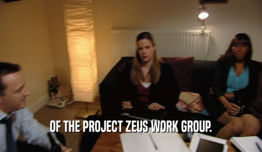 OF THE PROJECT ZEUS WORK GROUP.  