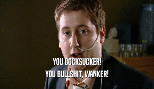 YOU COCKSUCKER! YOU BULLSHIT, WANKER! 