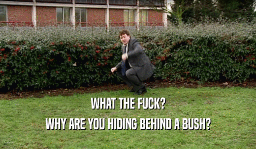 WHAT THE FUCK? WHY ARE YOU HIDING BEHIND A BUSH? 