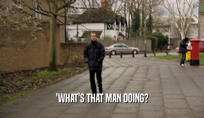 'WHAT'S THAT MAN DOING?  