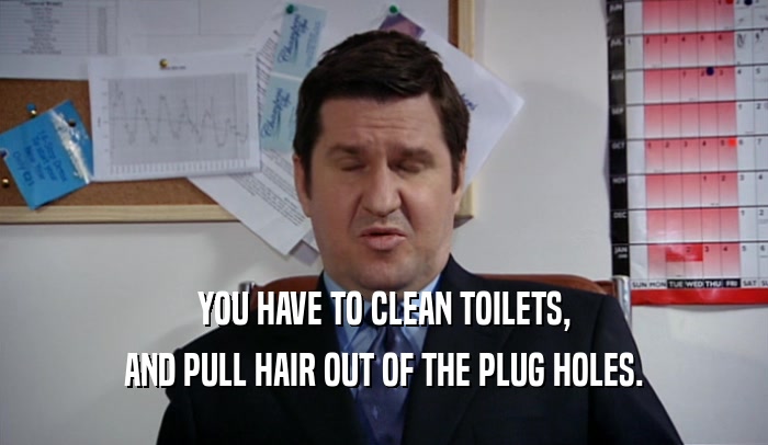 YOU HAVE TO CLEAN TOILETS, AND PULL HAIR OUT OF THE PLUG HOLES. 