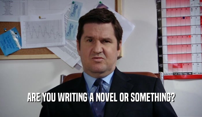 ARE YOU WRITING A NOVEL OR SOMETHING?  