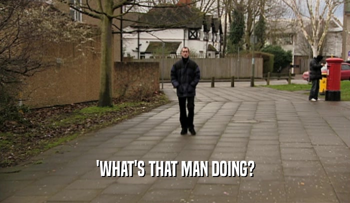 'WHAT'S THAT MAN DOING?  