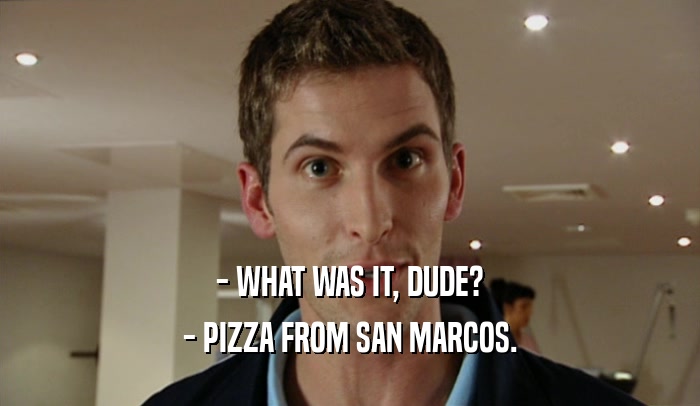 - WHAT WAS IT, DUDE? - PIZZA FROM SAN MARCOS. 