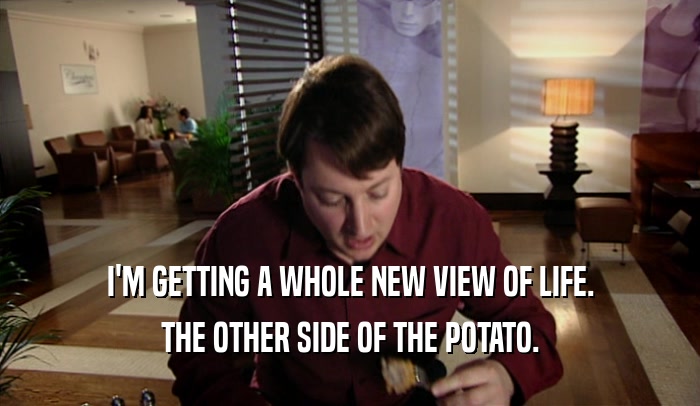 I'M GETTING A WHOLE NEW VIEW OF LIFE. THE OTHER SIDE OF THE POTATO. 