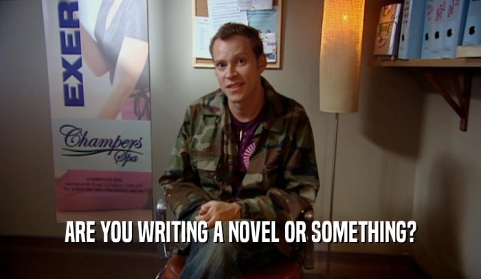 ARE YOU WRITING A NOVEL OR SOMETHING?  