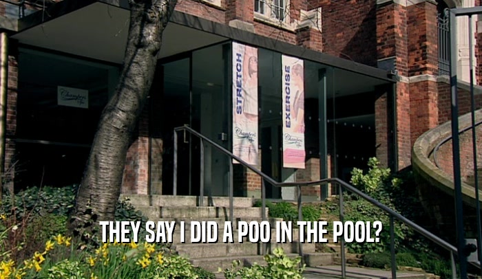 THEY SAY I DID A POO IN THE POOL?  