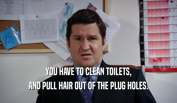 YOU HAVE TO CLEAN TOILETS, AND PULL HAIR OUT OF THE PLUG HOLES. 