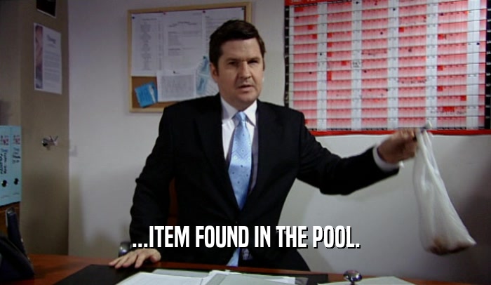...ITEM FOUND IN THE POOL.  