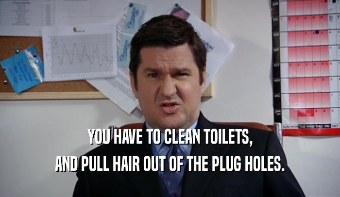 YOU HAVE TO CLEAN TOILETS, AND PULL HAIR OUT OF THE PLUG HOLES. 