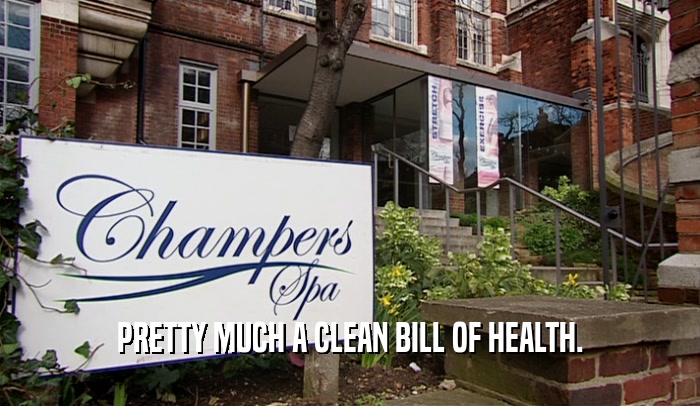 PRETTY MUCH A CLEAN BILL OF HEALTH.  
