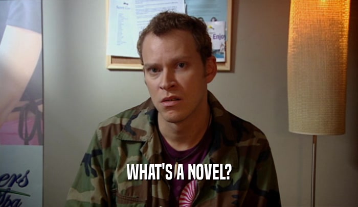 WHAT'S A NOVEL?  