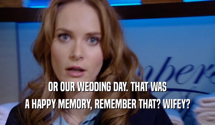 OR OUR WEDDING DAY. THAT WAS A HAPPY MEMORY, REMEMBER THAT? WIFEY? 