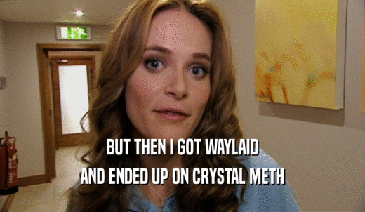 BUT THEN I GOT WAYLAID AND ENDED UP ON CRYSTAL METH 