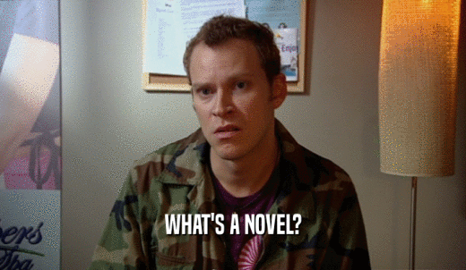 WHAT'S A NOVEL?  