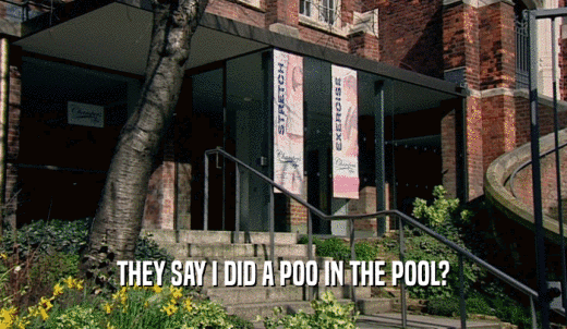 THEY SAY I DID A POO IN THE POOL?  