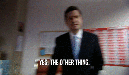 YES, THE OTHER THING.  