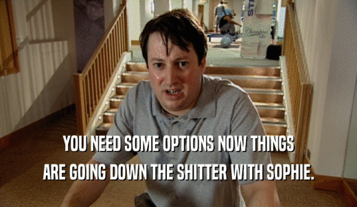 YOU NEED SOME OPTIONS NOW THINGS ARE GOING DOWN THE SHITTER WITH SOPHIE. 
