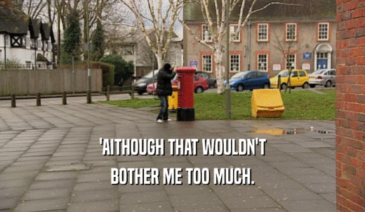 'AITHOUGH THAT WOULDN'T BOTHER ME TOO MUCH. 