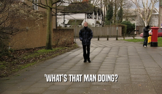 'WHAT'S THAT MAN DOING?  