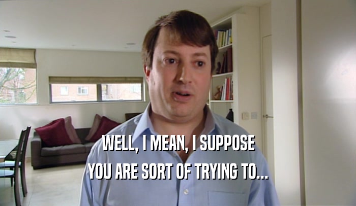 WELL, I MEAN, I SUPPOSE YOU ARE SORT OF TRYING TO... 