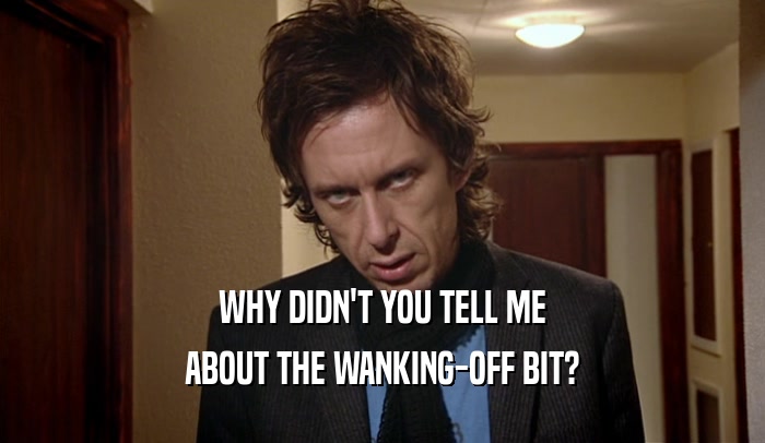 WHY DIDN'T YOU TELL ME ABOUT THE WANKING-OFF BIT? 