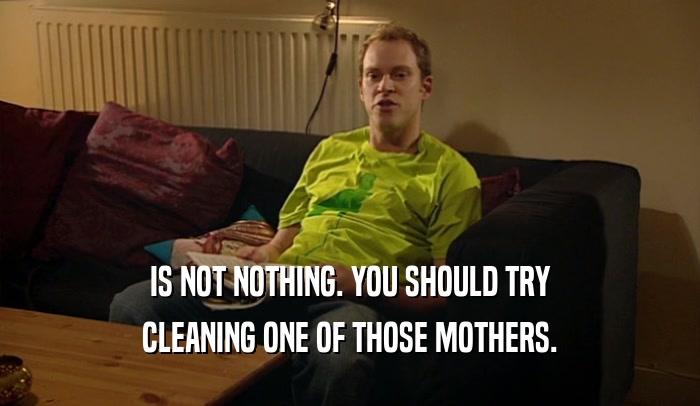 IS NOT NOTHING. YOU SHOULD TRY CLEANING ONE OF THOSE MOTHERS. 