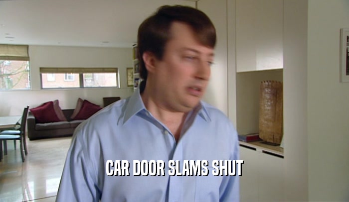 CAR DOOR SLAMS SHUT
  